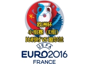天博入口网址-波兰国家队备战挑战爱尔兰国家队，备受关注