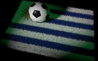 星空体育全站app-世界杯预选赛中国队晋级 球员发挥稳定，世界杯预选赛中国队的成绩  第3张